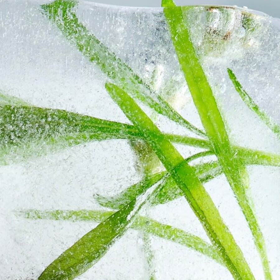 Sjöbris som representerar de svala, friska tonerna i produkterna.